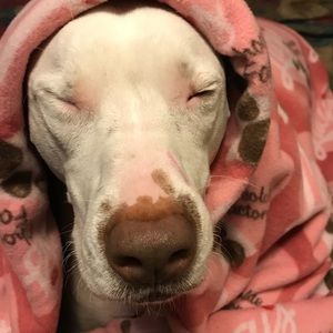 Meet your Posher, Jacqueline